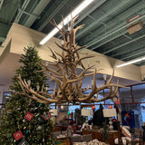 ANTLER CHANDELIER