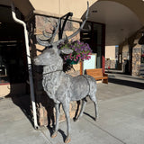 RED ELK BRONZE