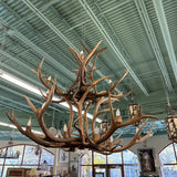 ANTLER CHANDELIER