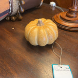 PUMPKIN DECOR