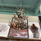 ANTLER CHANDELIER