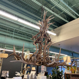 ANTLER CHANDELIER