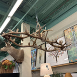 ANTLER CHANDELIER
