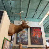 ELK MOUNT
