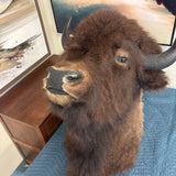 BUFFALO MOUNT