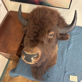 BUFFALO MOUNT