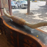 LONGHORN MOUNT