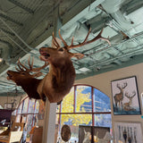 ELK MOUNT
