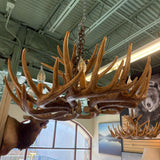 FAUX ANTLER CHANDELIER
