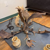 FALLOW DEER ANTLER CHANDELIER
